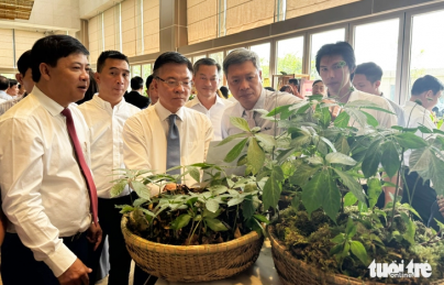 Đưa Quảng Nam thành trung tâm công nghiệp dược liệu cả nước, lấy sâm Ngọc Linh là cây chủ lực