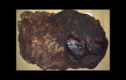 Huyết lình – Vị thuốc bổ máu, dưỡng huyết, tăng cường sức khỏe Huyết lình – Vị thuốc bổ máu, dưỡng huyết, tăng cường sức khỏe