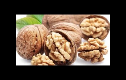 Quả óc chó (Cây hồ đào) – Vì sao được mệnh danh là vua của các loại hạt Quả óc chó (Cây hồ đào) – Vì sao được mệnh danh là vua của các loại hạt