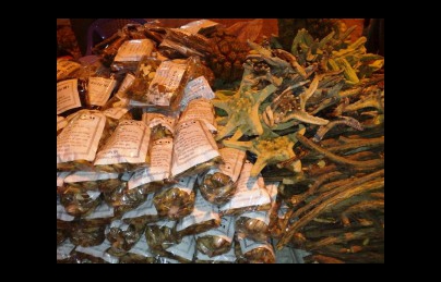 Bài thuốc nam điều trị sỏi thận nổi tiếng ở Hòa Bình Bài thuốc nam điều trị sỏi thận nổi tiếng ở Hòa Bình