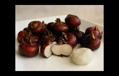 Củ mã thầy vị thuốc mát bổ, rất thích hợp cho những ngày hè oi bức Củ mã thầy vị thuốc mát bổ, rất thích hợp cho những ngày hè oi bức