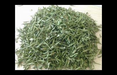 Cây cỏ ngọt vị thuốc quý hỗ trợ điều trị bệnh tiểu đường Cây cỏ ngọt vị thuốc quý hỗ trợ điều trị bệnh tiểu đường