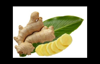 Củ gừng (sinh khương) nhiều tác dụng, bạn đã biết cách dùng làm thuốc? Củ gừng (sinh khương) nhiều tác dụng, bạn đã biết cách dùng làm thuốc?