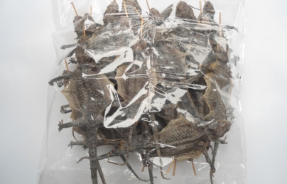 Tắc kè ngâm giúp bổ thận tráng dương, tăng cường sinh lý Tắc kè ngâm giúp bổ thận tráng dương, tăng cường sinh lý