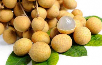 Long nhãn công dụng cách dùng trong các đơn thuốc bồi bổ Long nhãn công dụng cách dùng trong các đơn thuốc bồi bổ