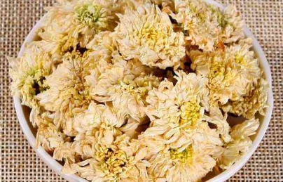 Trà sơn mật (trà hồng sâm) vừa thơm ngon lại rất tốt cho sức khỏe Trà sơn mật (trà hồng sâm) vừa thơm ngon lại rất tốt cho sức khỏe