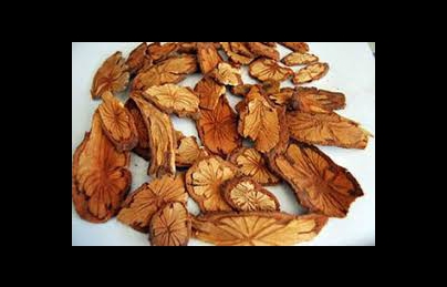 Cây huyết rồng, hồng đằng, kê huyết đằng, dây máu (hoang dang) Cây huyết rồng, hồng đằng, kê huyết đằng, dây máu (hoang dang)