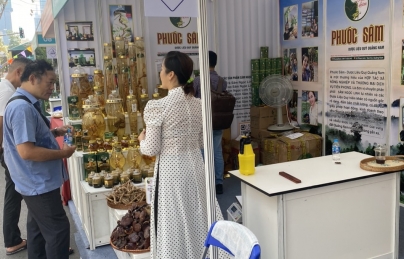 PHƯỚC SÂM THAM GIA HỘI CHỢ SÂM VÀ HƯƠNG LIỆU - DƯỢC LIỆU QUỐC TẾ TP. HỒ CHÍ MINH PHƯỚC SÂM THAM GIA HỘI CHỢ SÂM VÀ HƯƠNG LIỆU - DƯỢC LIỆU QUỐC TẾ TP. HỒ CHÍ MINH