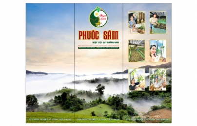 Việc thu hái hạt sâm Ngọc Linh và các điều kiện để trồng và thu hoạch sâm Ngọc Linh là một quá trình khá phức tạp, đòi hỏi sự hiểu biết về đặc điểm sinh trưởng của cây sâm, cũng như điều ki Việc thu hái hạt sâm Ngọc Linh và các điều kiện để trồng và thu hoạch sâm Ngọc Linh là một quá trình khá phức tạp, đòi hỏi sự hiểu biết về đặc điểm sinh trưởng của cây sâm, cũng như điều ki