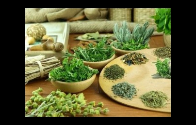 Bài thuốc nam điều trị bệnh động kinh ở Hoà Bình Bài thuốc nam điều trị bệnh động kinh ở Hoà Bình