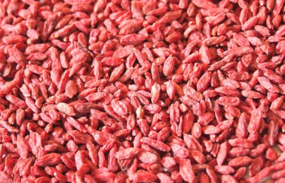 Câu kỷ tử vị thuốc quý điều trị chứng di mộng tinh Câu kỷ tử vị thuốc quý điều trị chứng di mộng tinh