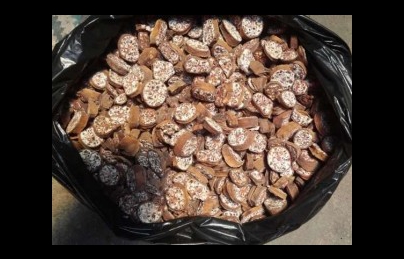 Chuối hột rừng vị thuốc hỗ trợ điều trị Sỏi Thận Chuối hột rừng vị thuốc hỗ trợ điều trị Sỏi Thận