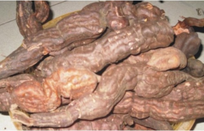 Hà thủ ô trắng, vị thuốc bổi bổ sức khỏe Hà thủ ô trắng, vị thuốc bổi bổ sức khỏe