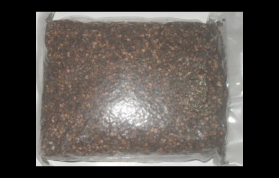 Hạt chuối hột rừng tốt cho người bệnh sỏi thận Hạt chuối hột rừng tốt cho người bệnh sỏi thận