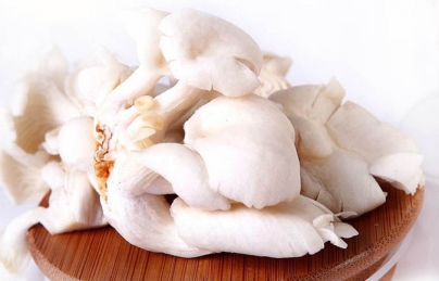 Nấm Bào Ngư Trắng Nấm Bào Ngư Trắng