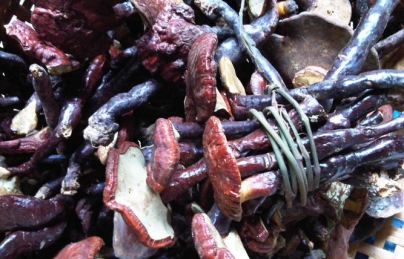 Nấm lim xanh tự nhiên 100%, không phải nấm trồng Nấm lim xanh tự nhiên 100%, không phải nấm trồng